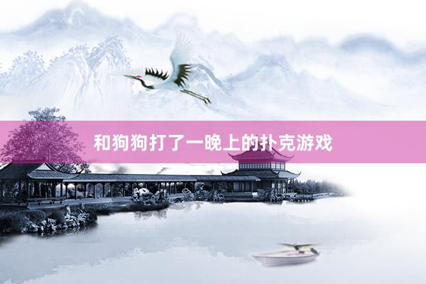 和狗狗打了一晚上的扑克游戏